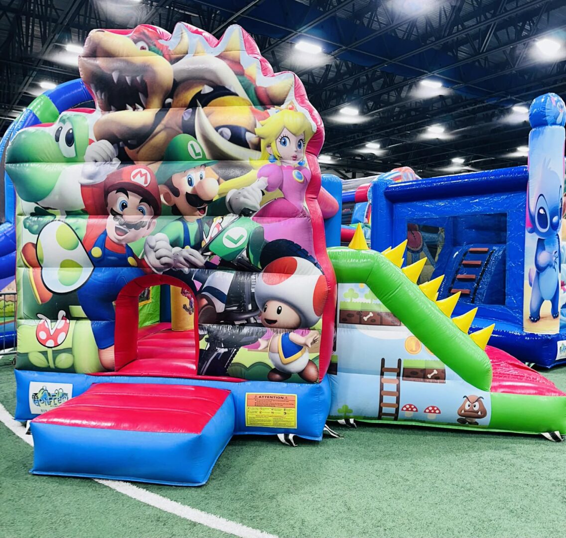 Monde de Bowser – Image 6