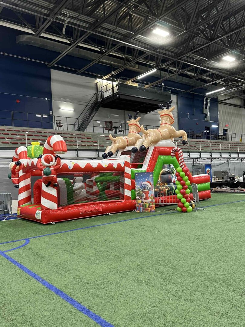 Vive le vent – Image 6