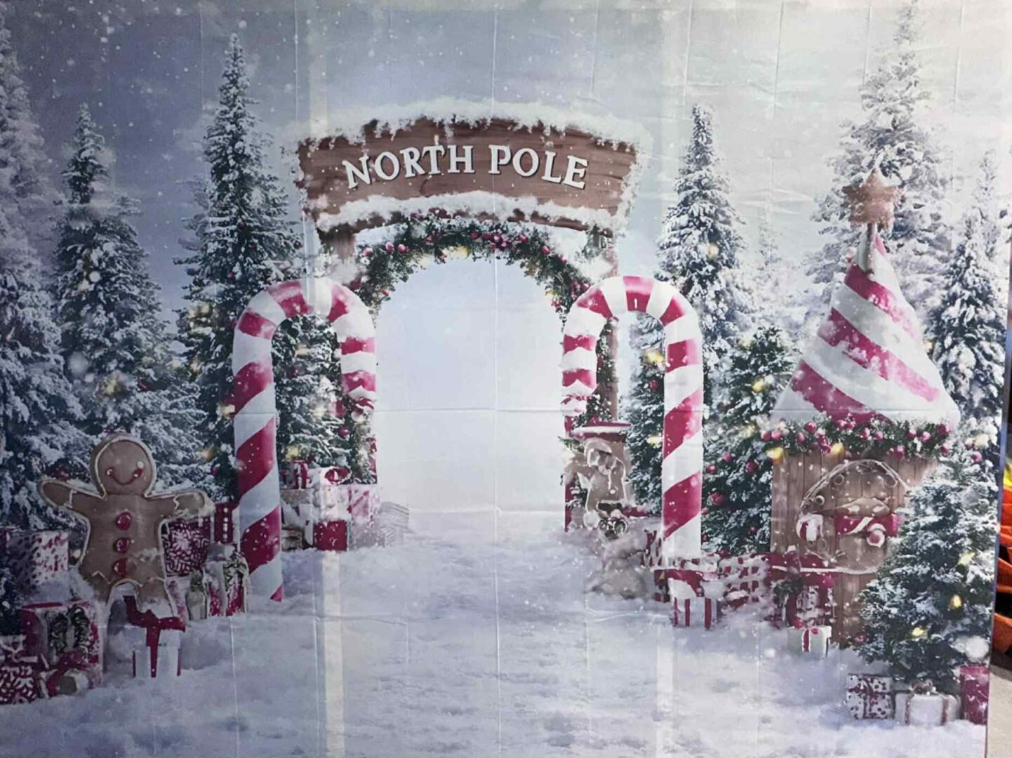 Toile The North Pole